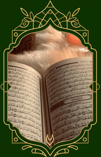 Quranic Wazaif